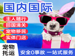 北戴河空运地址国际宠物托运 【国
